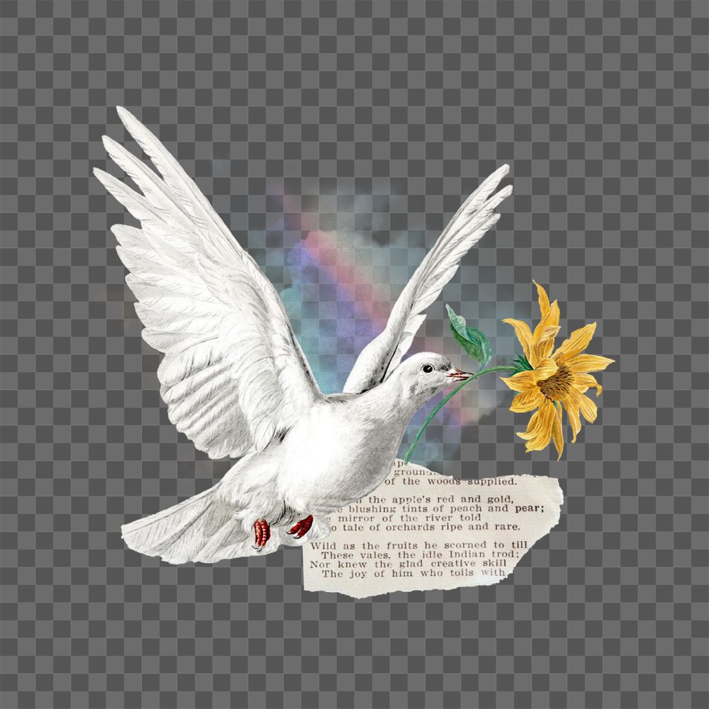 Vintage flying dove png, editable floral aesthetic collage. Remixed by rawpixel.