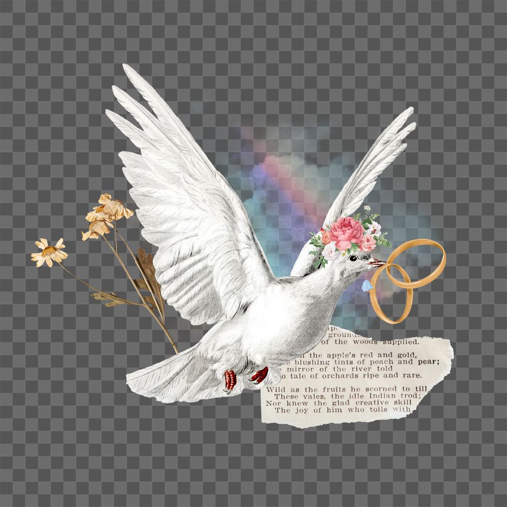 Wedding rings png, flying dove aesthetic editable collage. Remixed by rawpixel.