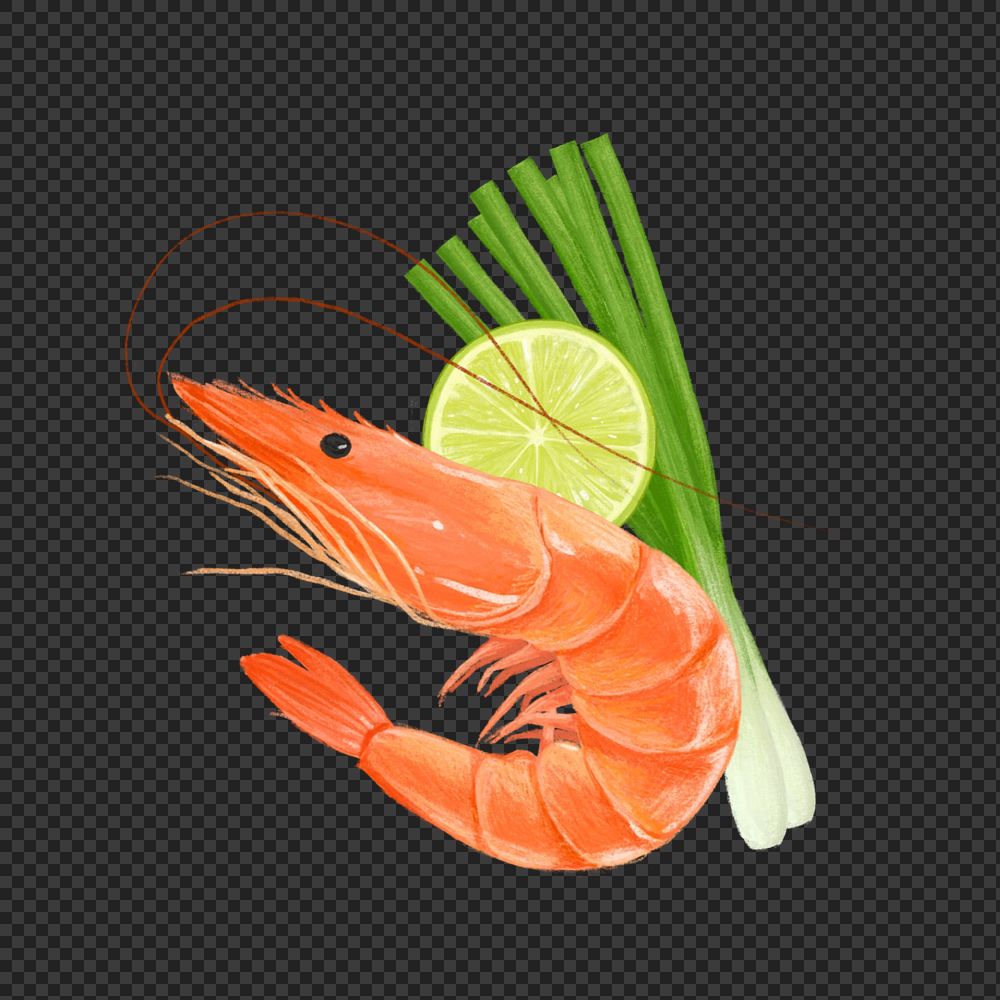 Boil shrimp, seafood png illustration, editable design