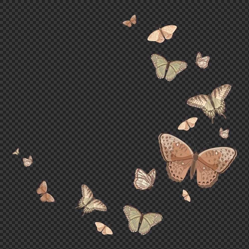 Editable butterfly semicircle frame png element, transparent background