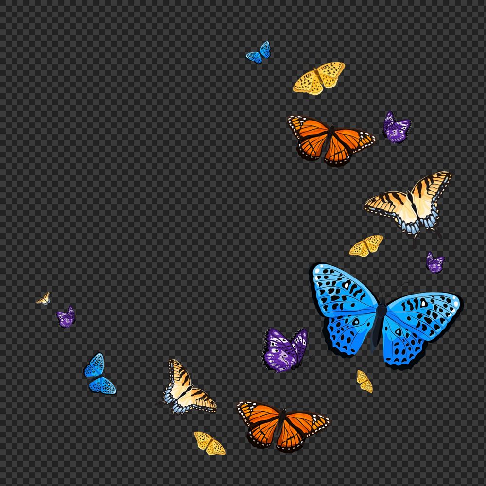 Editable butterfly semicircle frame png element, transparent background