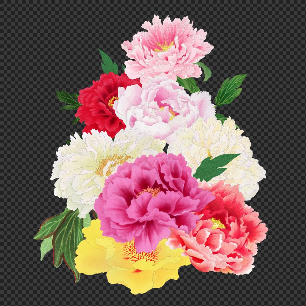 Colorful carnation flower png, botanical illustration, editable design