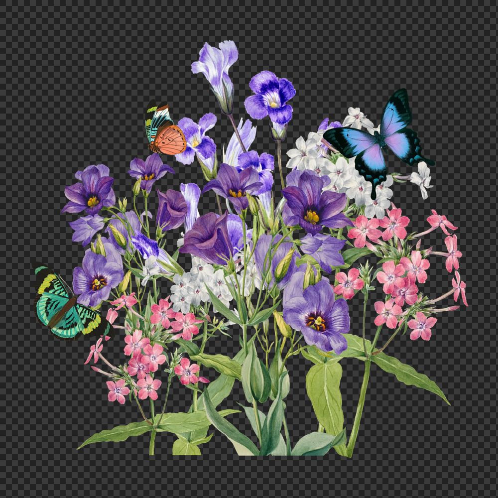 Purple Texas bluebell png flower, botanical illustration, editable design