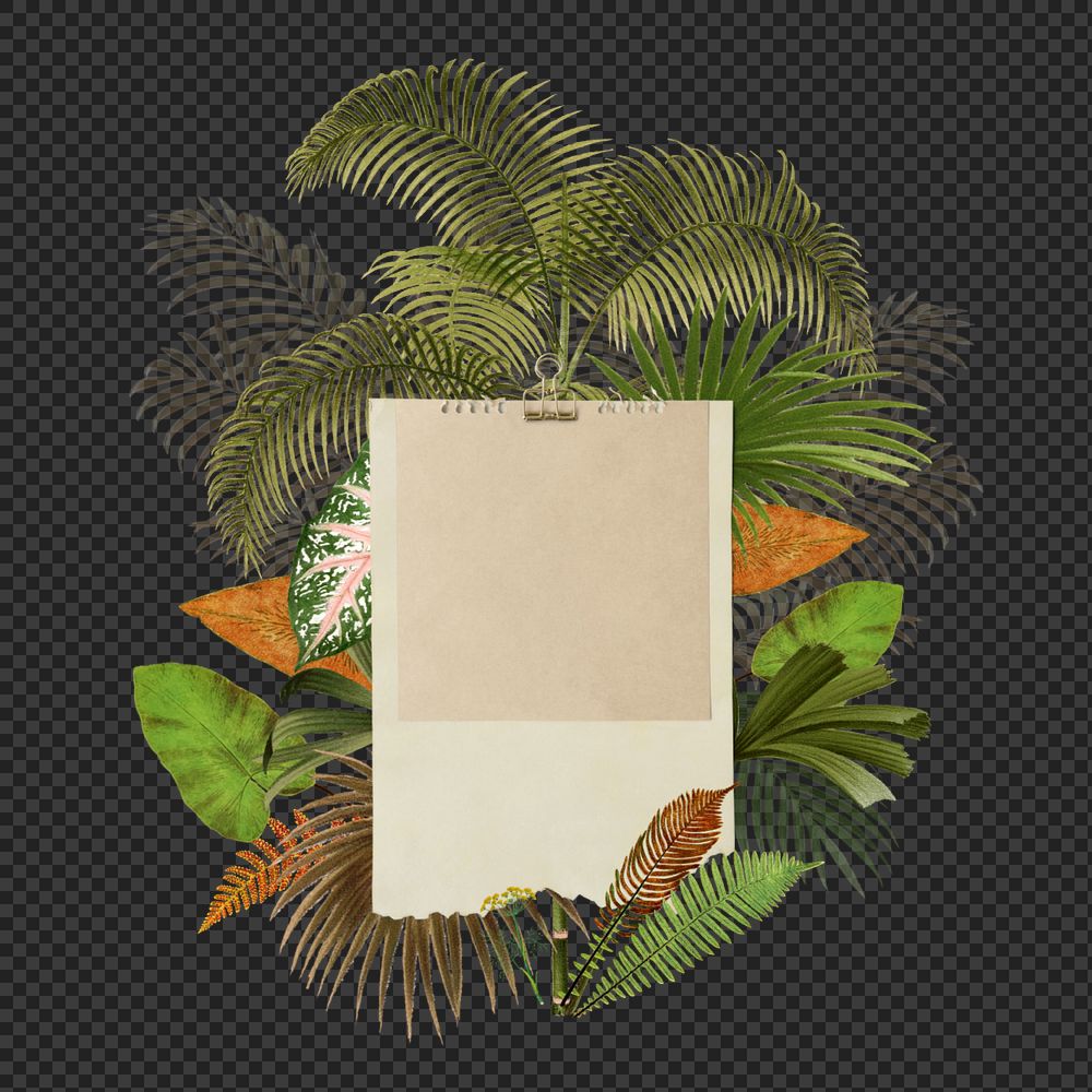 Tropical palm leaf png note paper collage, editable design