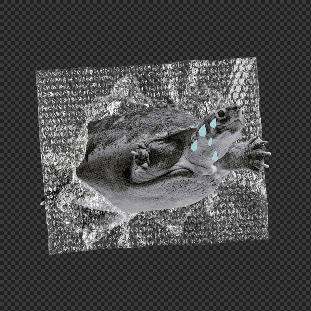 PNG Ocean waste pollution, turtle in plastic illustration transparent background editable design