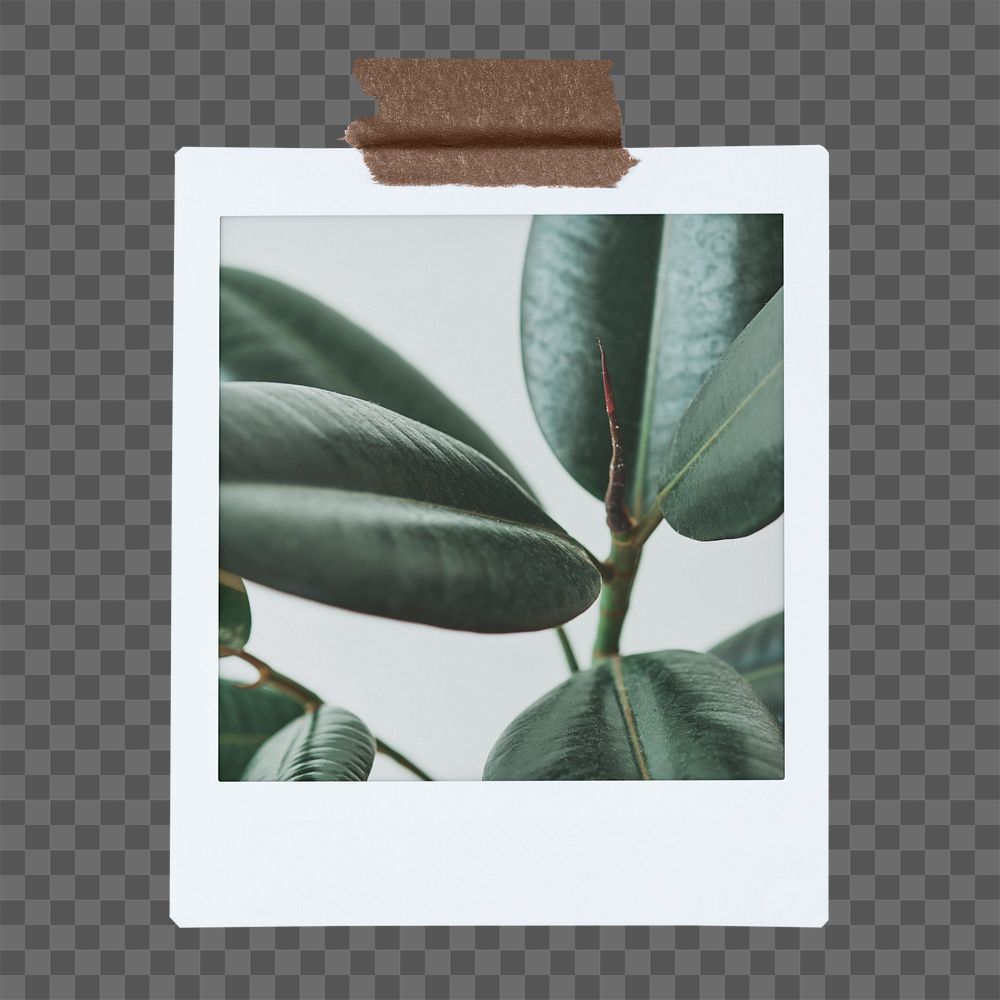 Instant photo film editable mockup element