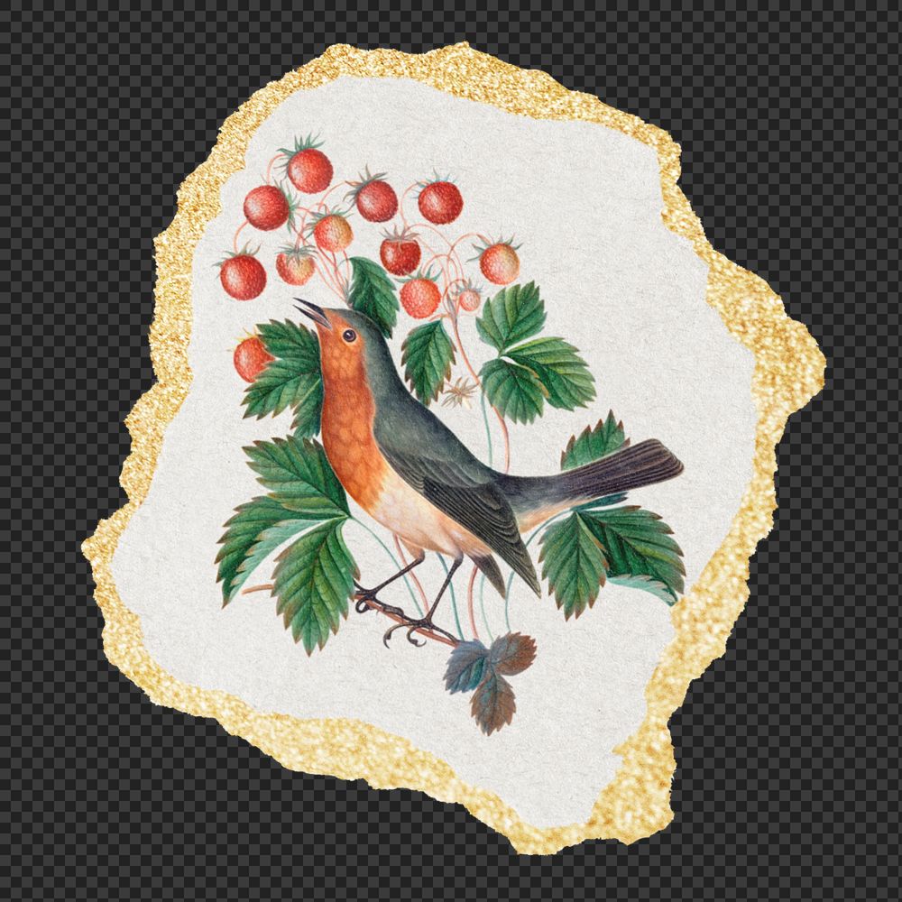 PNG ripped paper mockup element, bird and strawberry vintage illustration,  transparent background. Remixed by rawpixel.