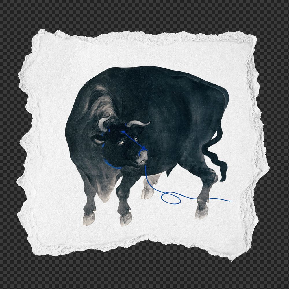 PNG ripped paper mockup element, vintage black bull illustration, transparent background. Remixed by rawpixel.