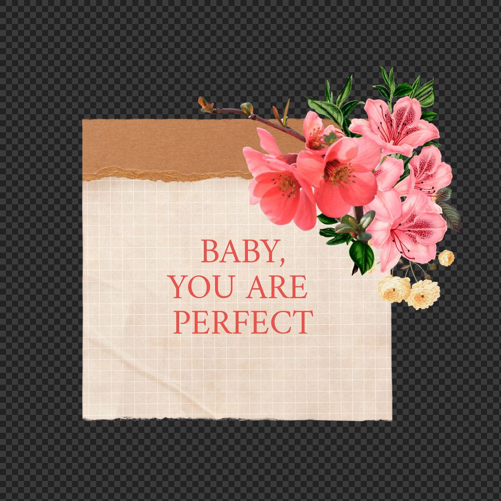 You are perfect png quote, aesthetic flower collage art, editable design