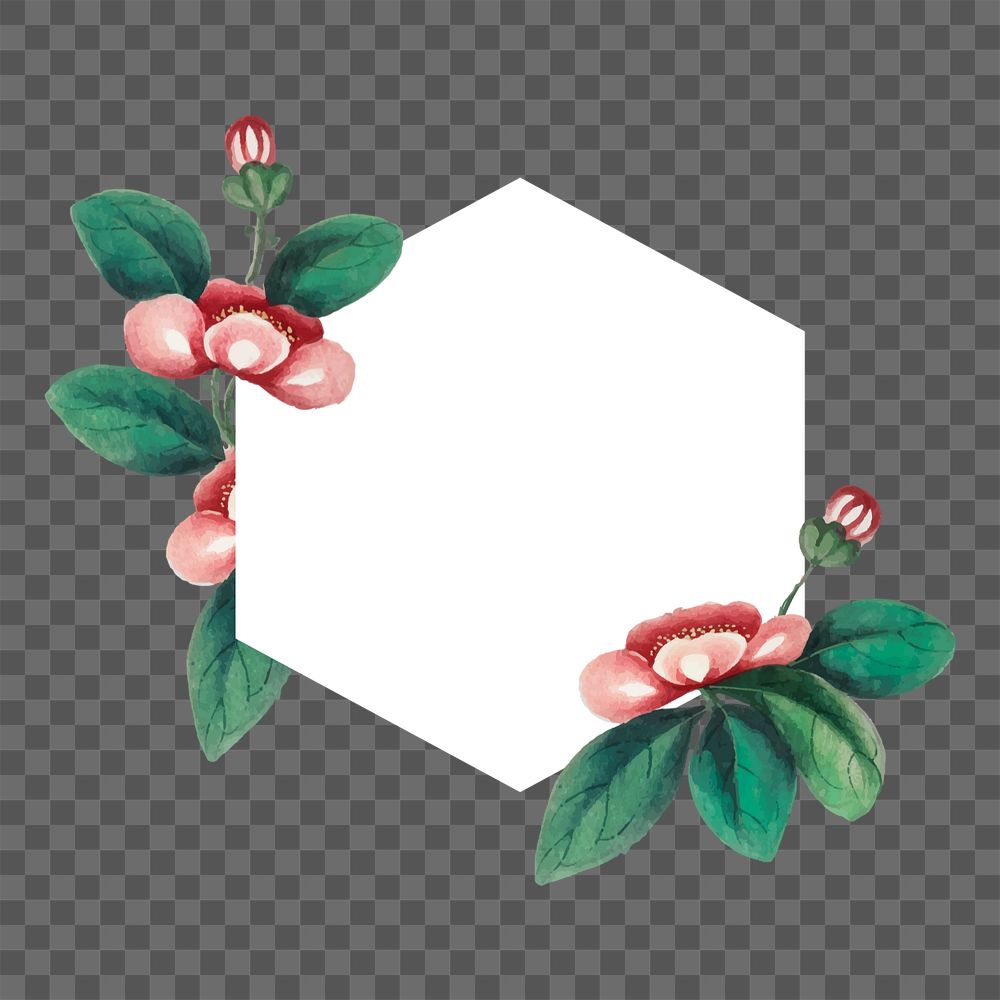 Vintage flower png illustration, hexagon shape on transparent background, editable design