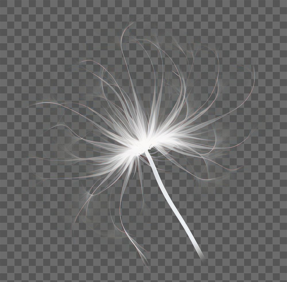 PNG Abstract smoke of dandelion flower white monochrome.