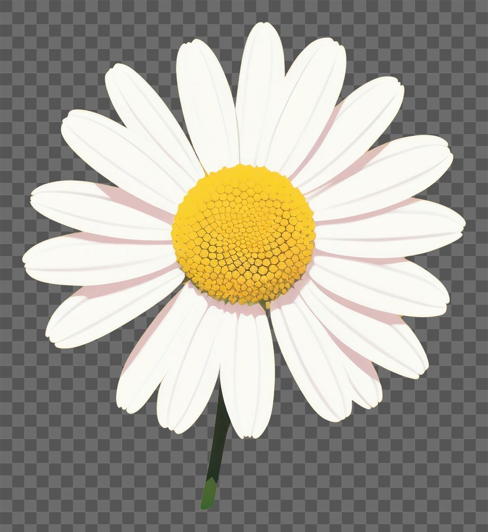 PNG Memphis design of daisy asteraceae blossom anemone.