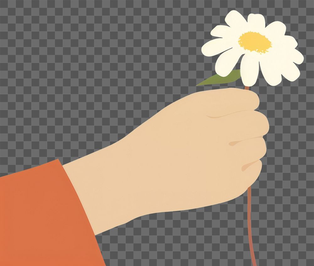 PNG  Illustration of hand holding flower finger petal daisy.