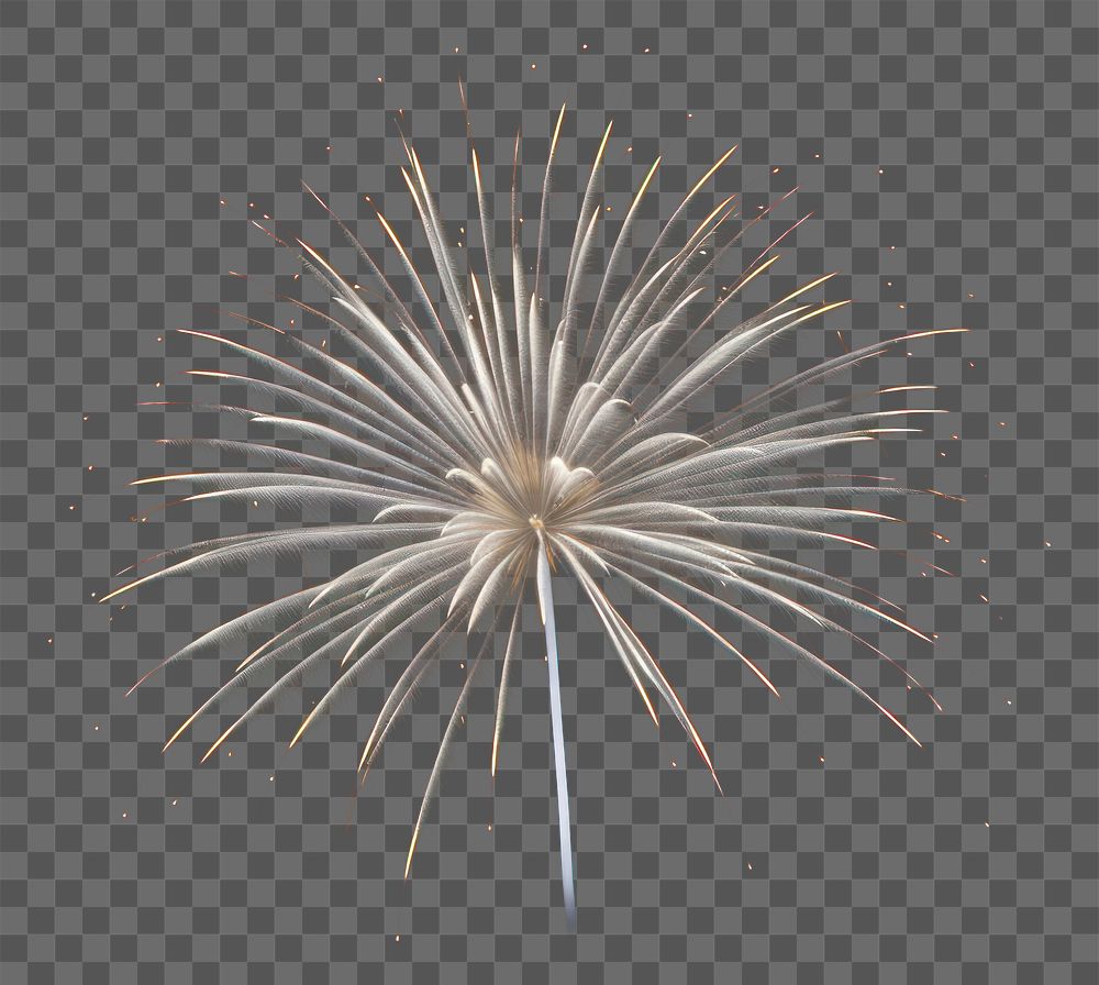 PNG Firework fireworks outdoors nature.