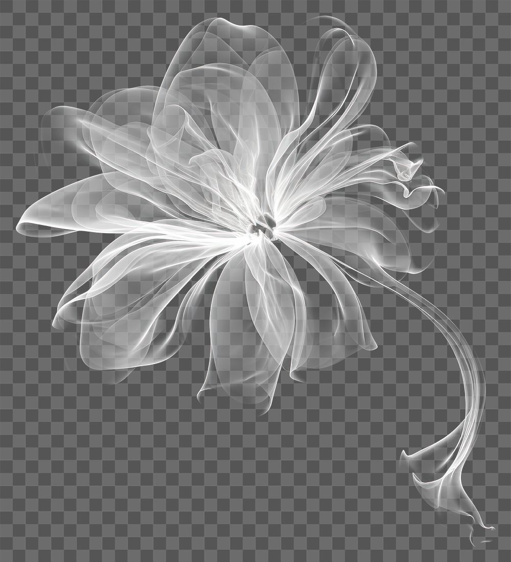 PNG Abstract smoke of daisy pattern flower black
