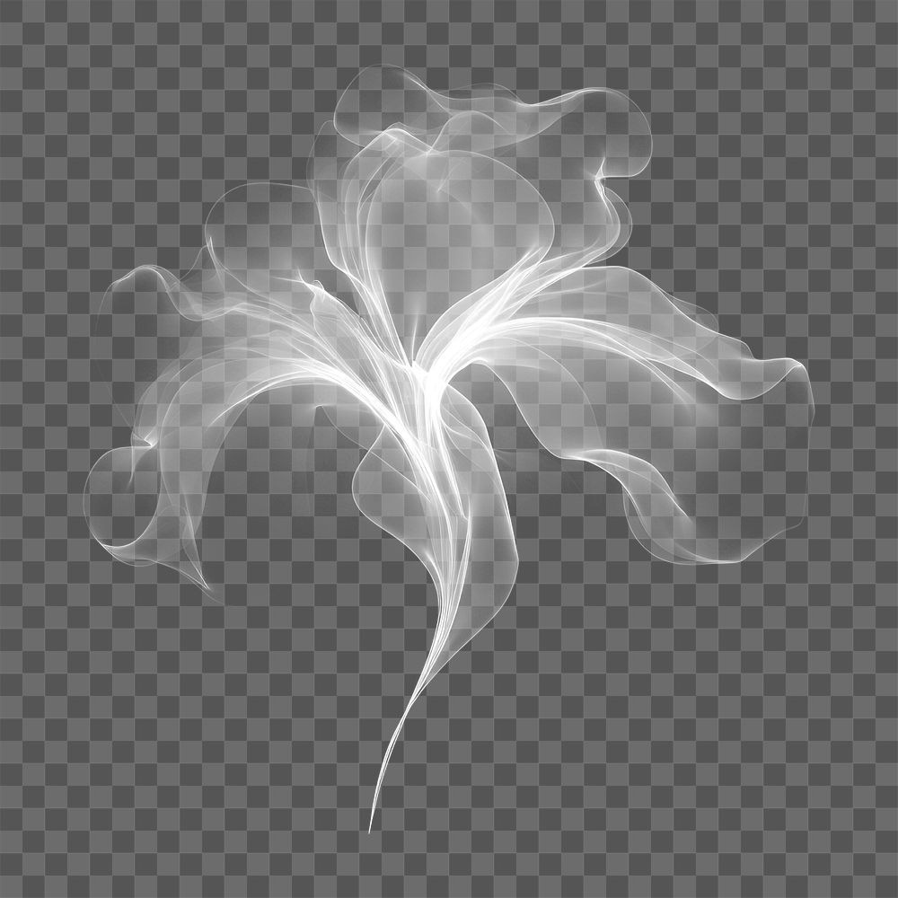 PNG Abstract smoke of lily pattern flower white.