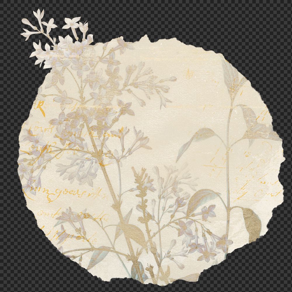 Green+graphics Transparent Images | Free Photos, PNG Stickers ...