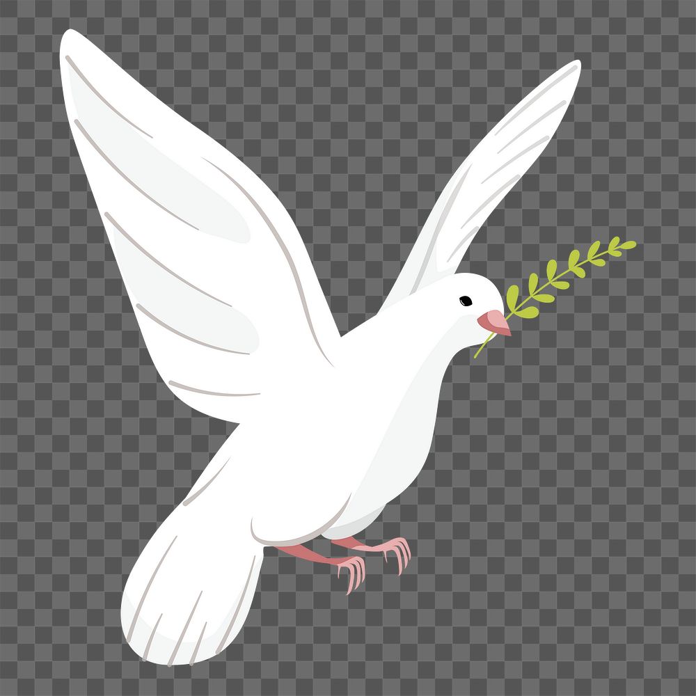 White bird png sticker, cute illustration, transparent background