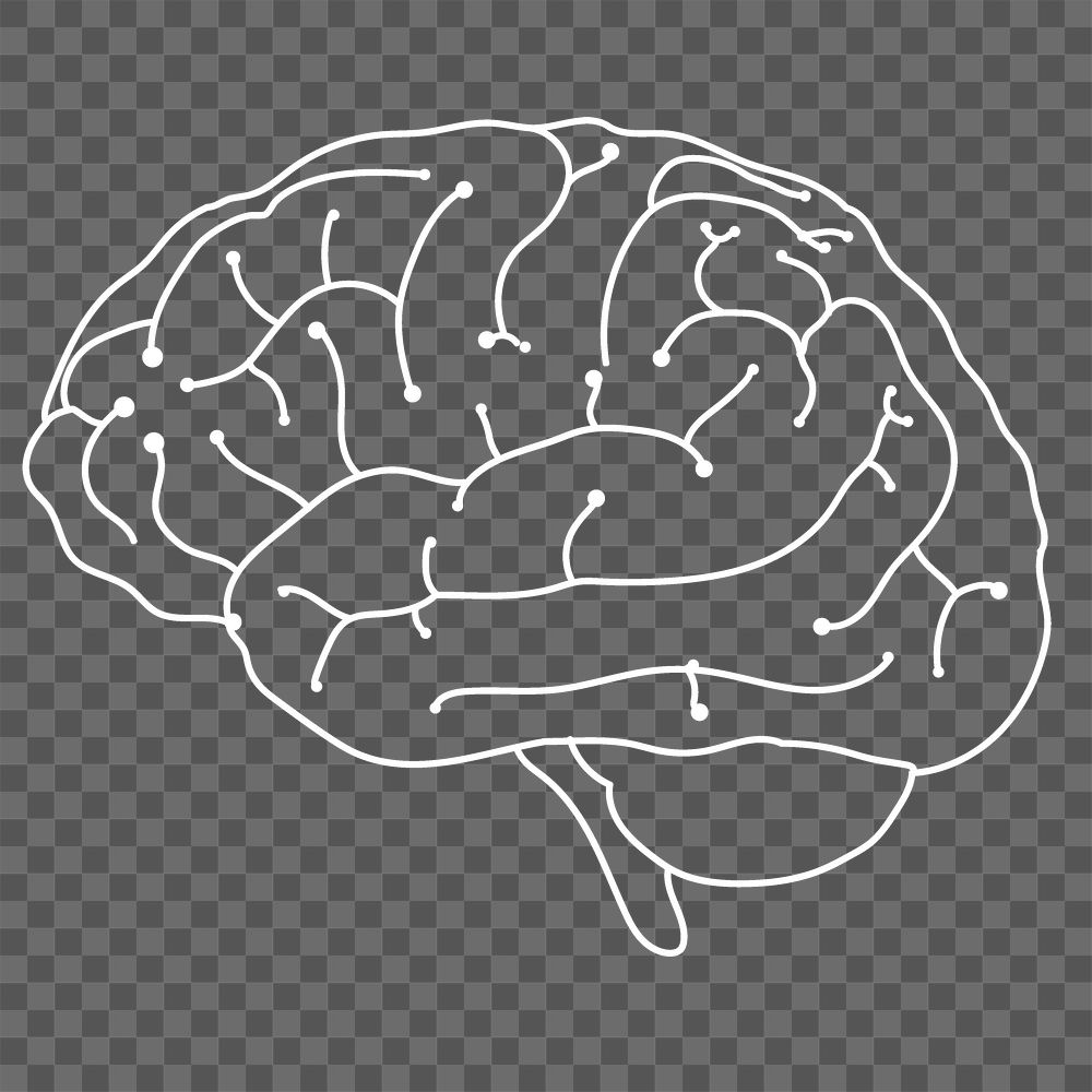 Digital brain png sticker, neuroscience, transparent background