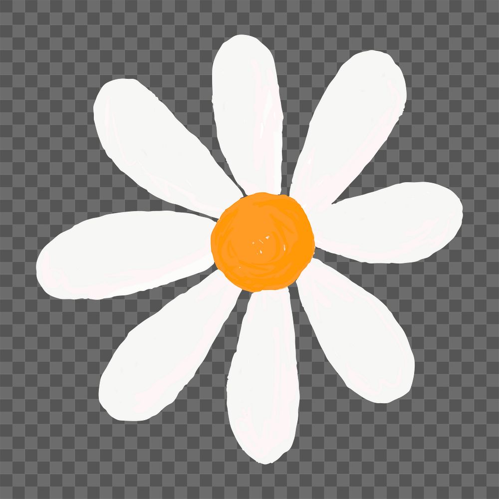 Daisy flower png doodle sticker, transparent background