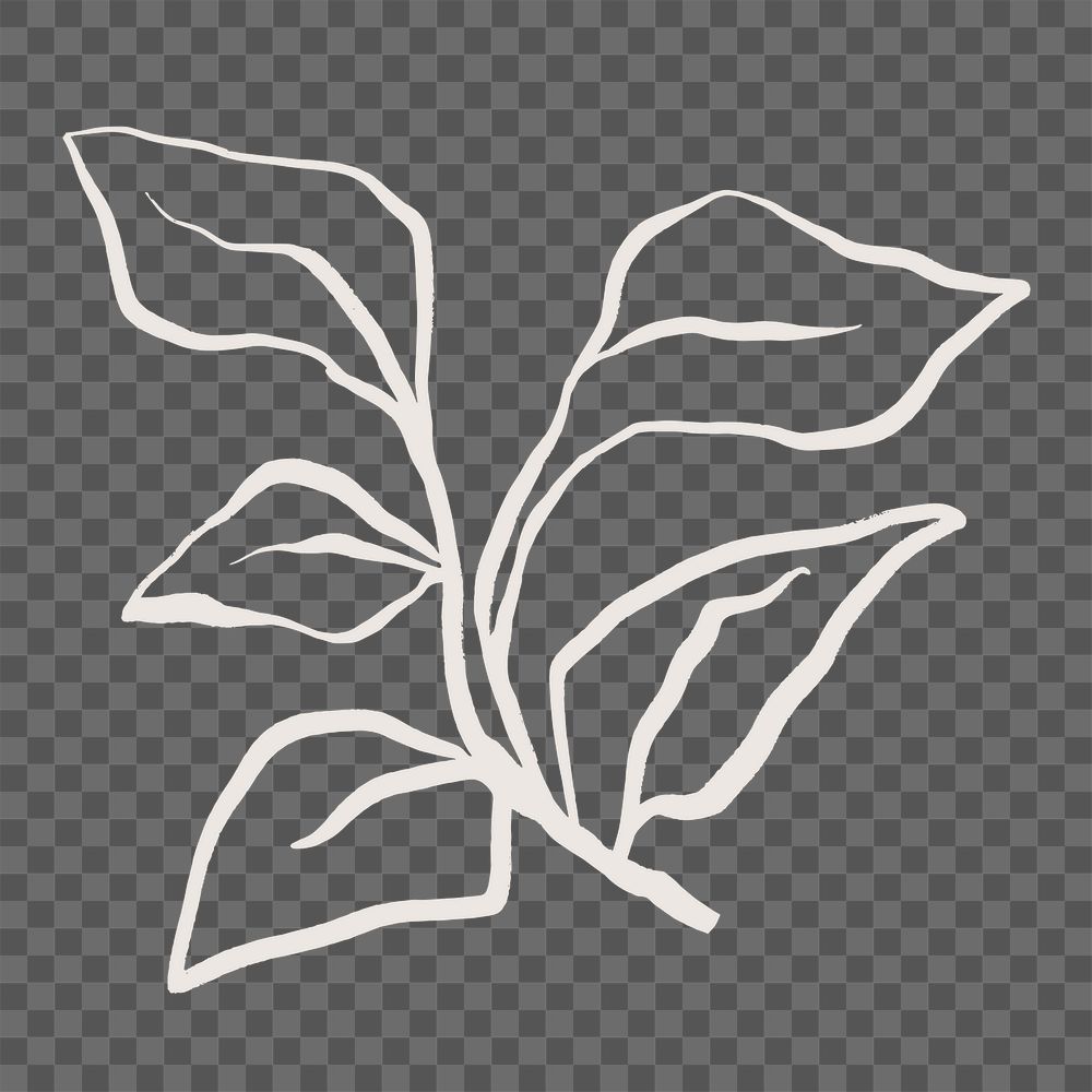 Leaf png sticker, botanical line art transparent background 