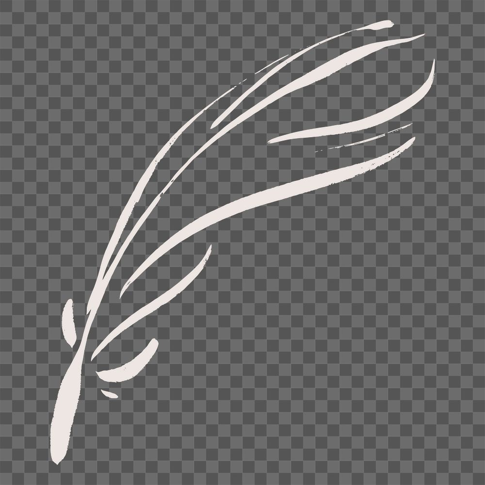 Aesthetic feather png clipart, drawing illustration, transparent background