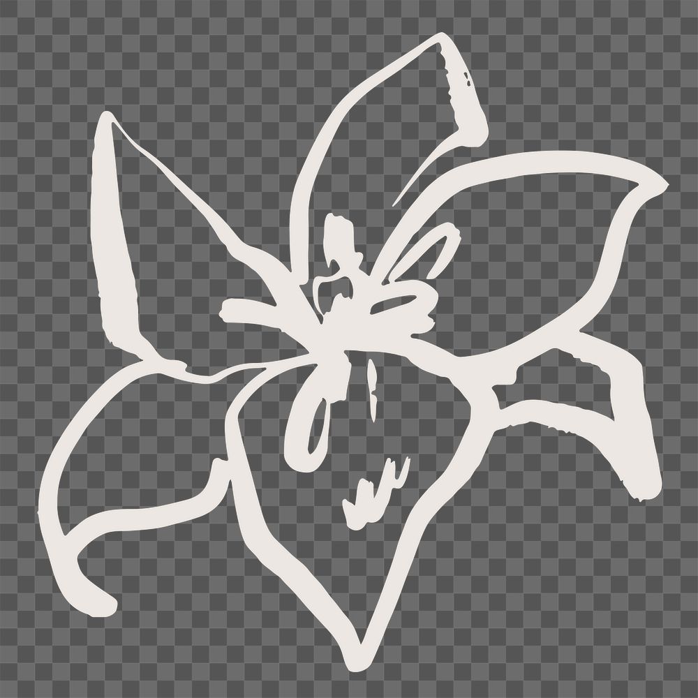 Beige lily png sticker, line art design on transparent background