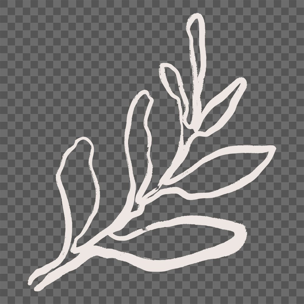 Aesthetic leaf png sticker, botanical line art transparent background 