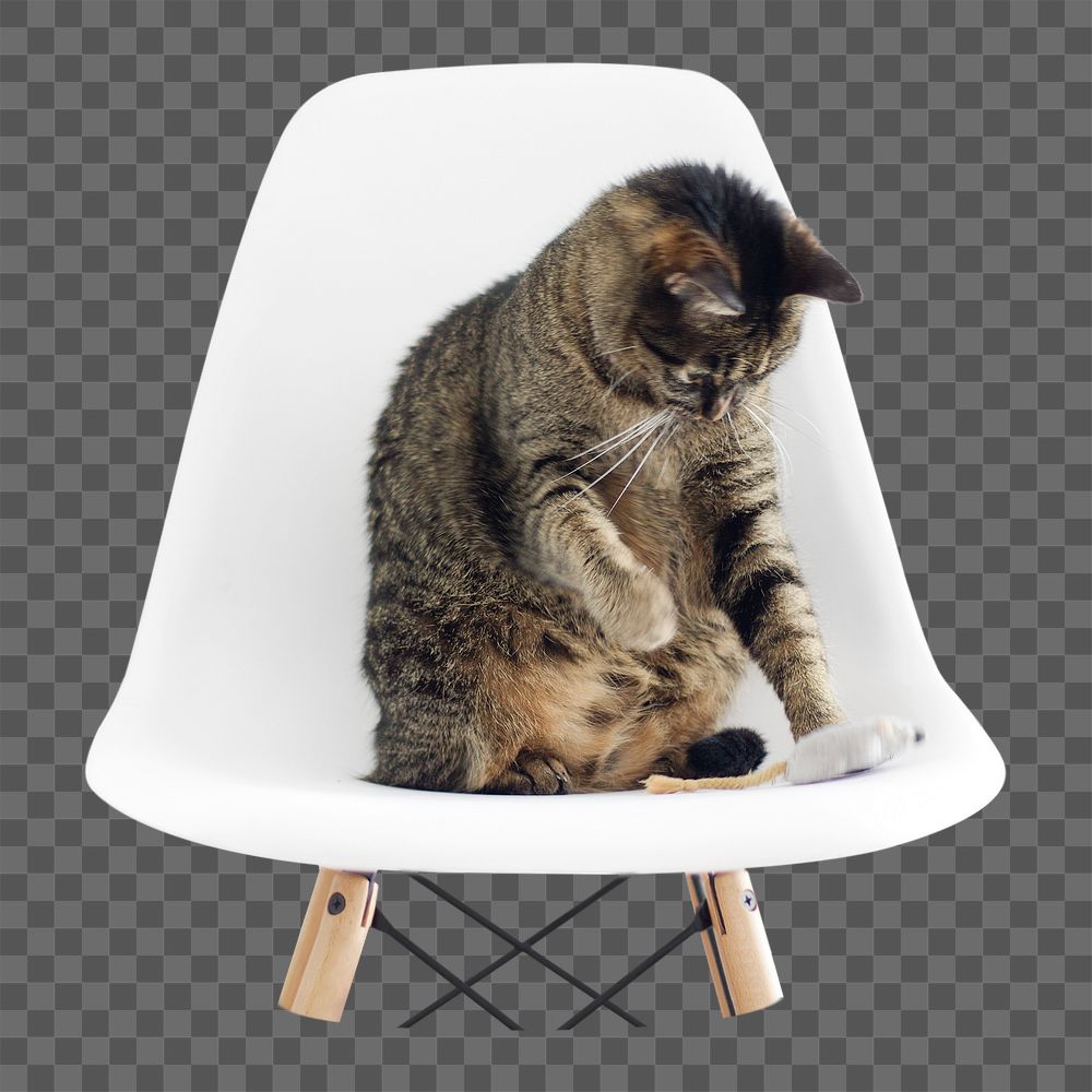 Tabby cat png sticker, playing with toy mouse, transparent background