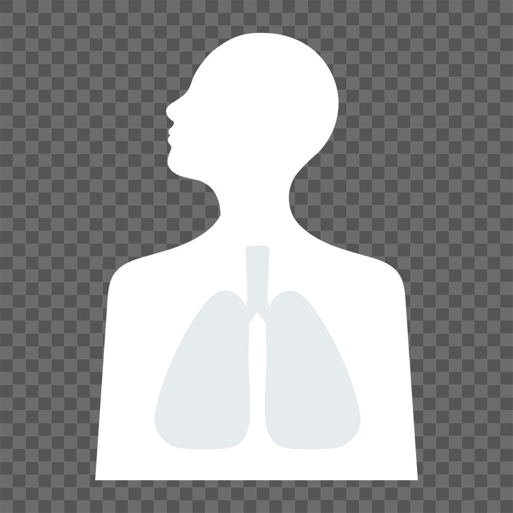 Human lungs png sticker, health graphic, transparent background