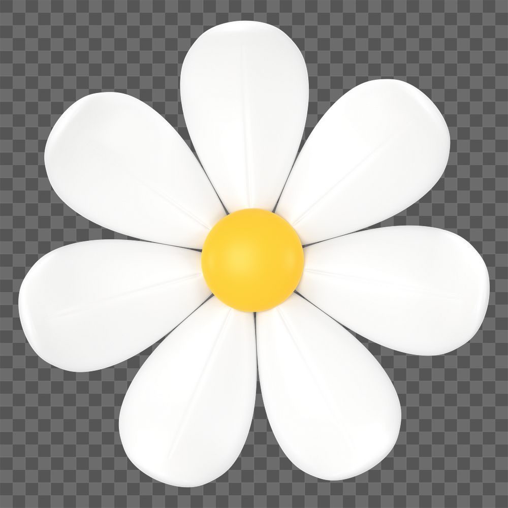 White flower png sticker, cute 3D botanical illustration on transparent background