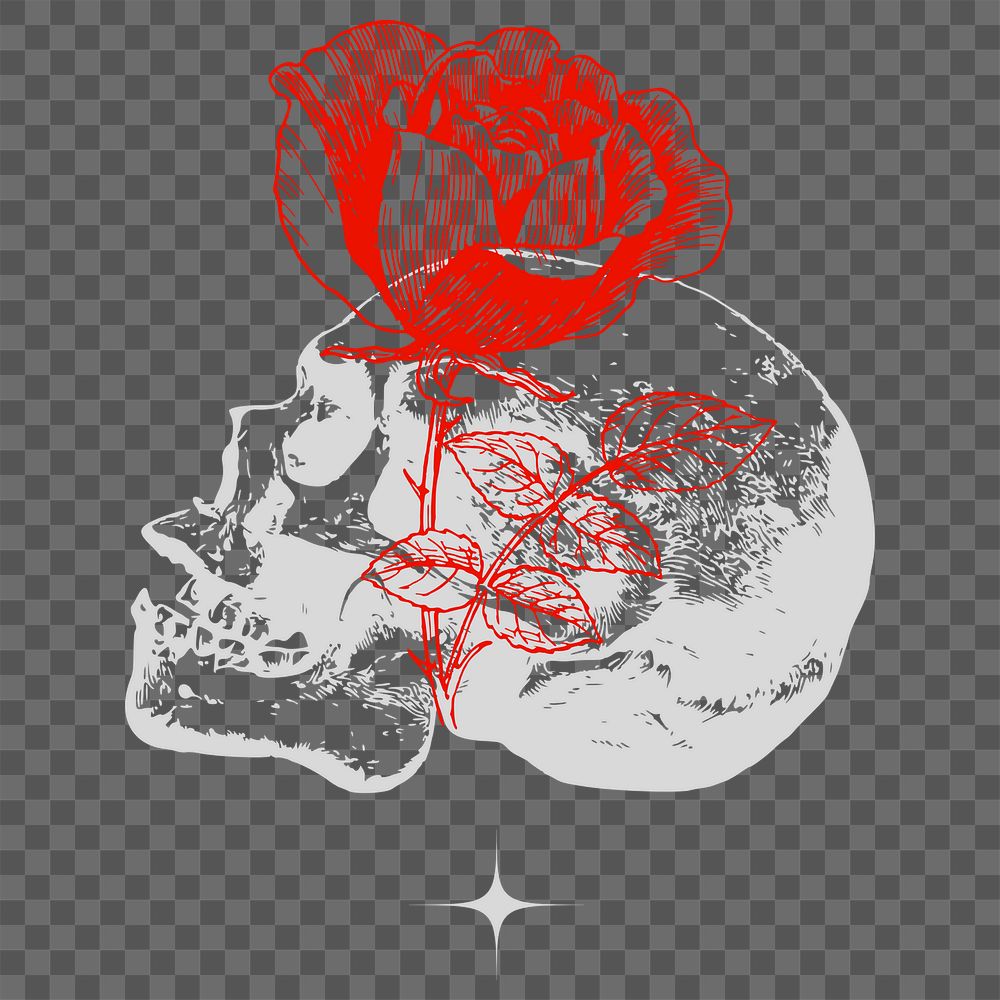 Rose & skull png sticker, transparent background