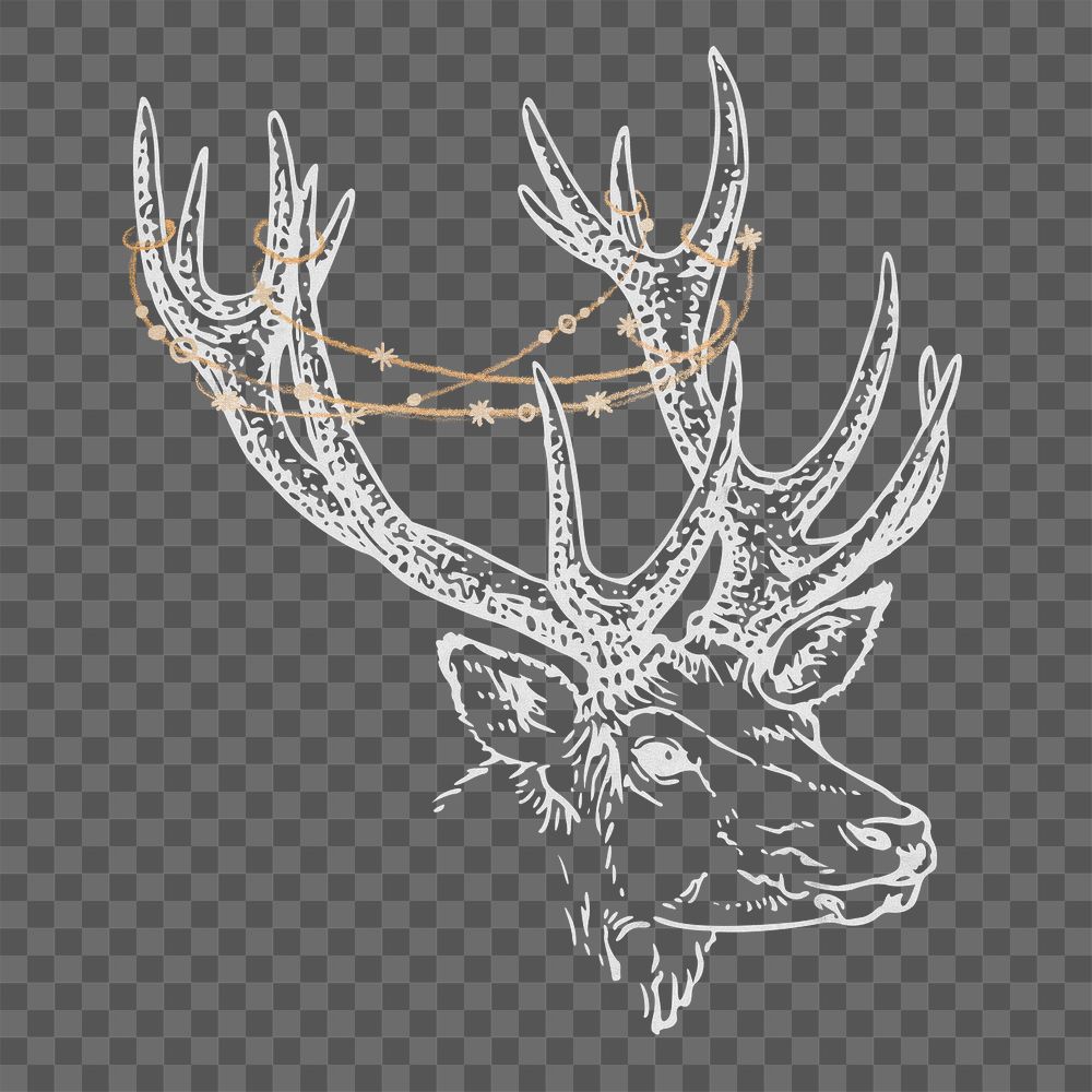 Reindeer stag png sticker, wildlife illustration, transparent background