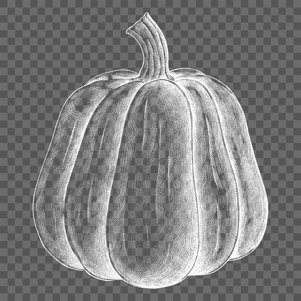 Png pumpkin illustration collage element, transparent background