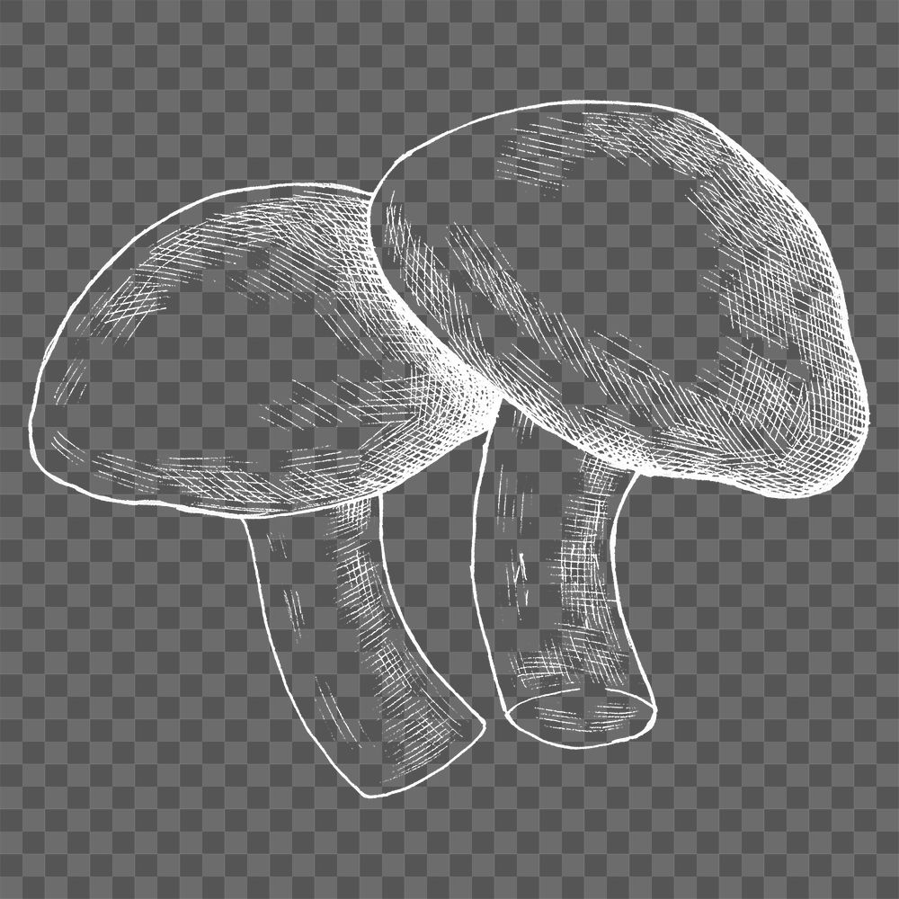 Png mushroom illustration collage element, transparent background