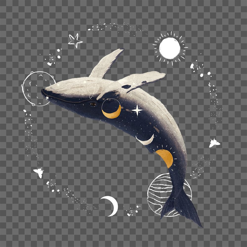 PNG Swimming whale, galaxy aesthetic remix, transparent background