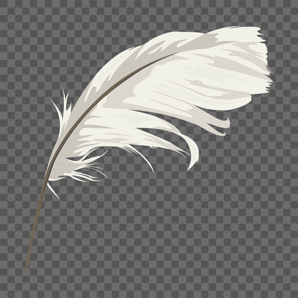 Feather quill png, aesthetic illustration, transparent background