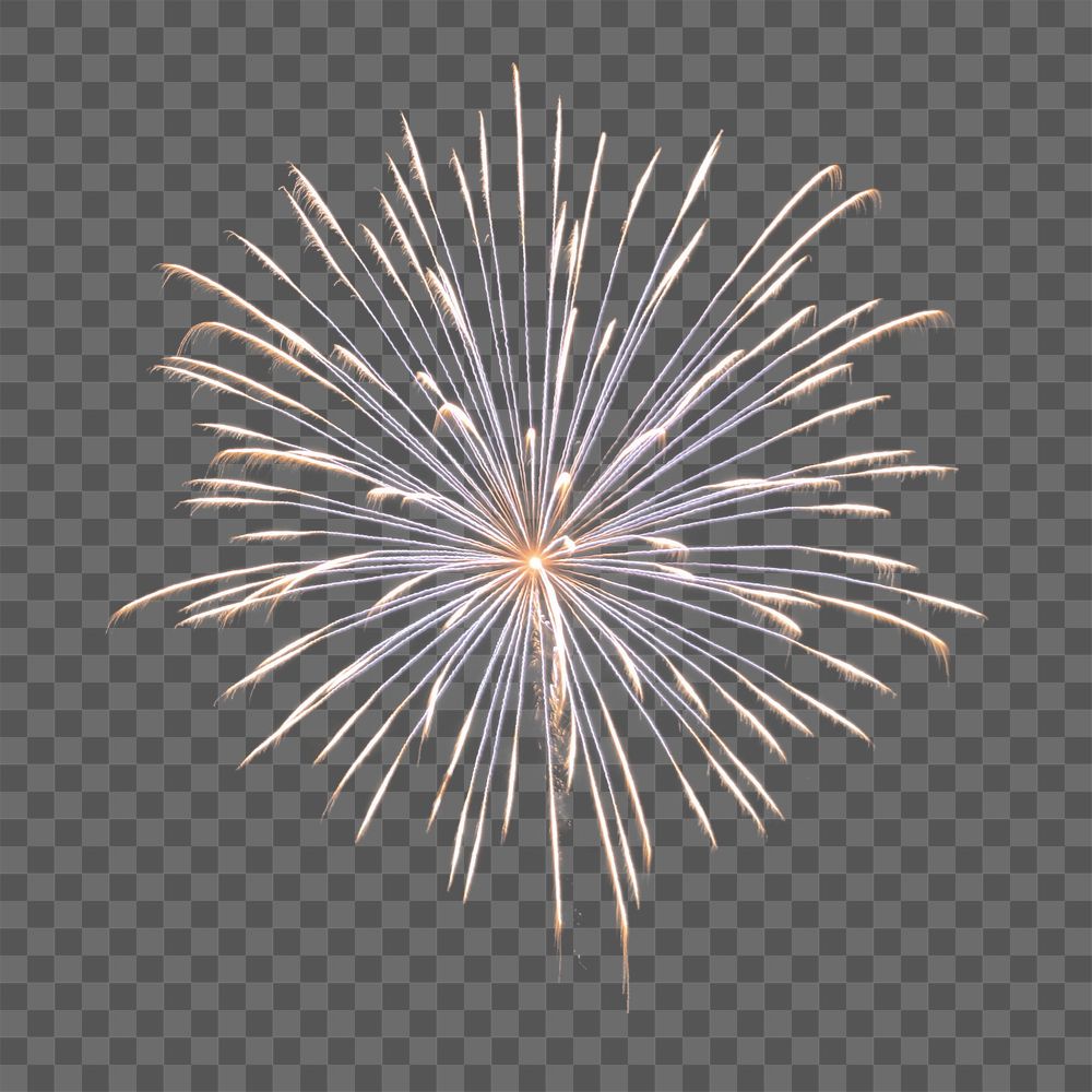 Firework celebration png, transparent background