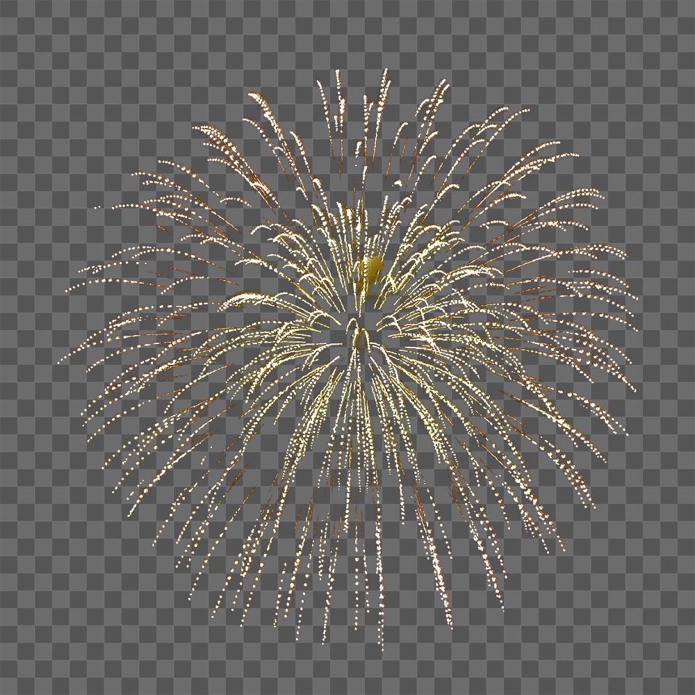 Firework celebration png, transparent background