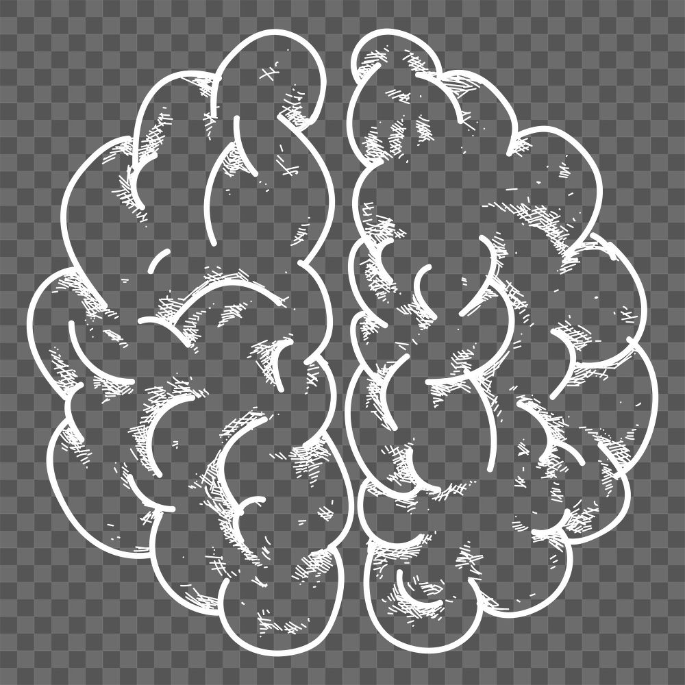 Png white brain doodle design element, transparent background