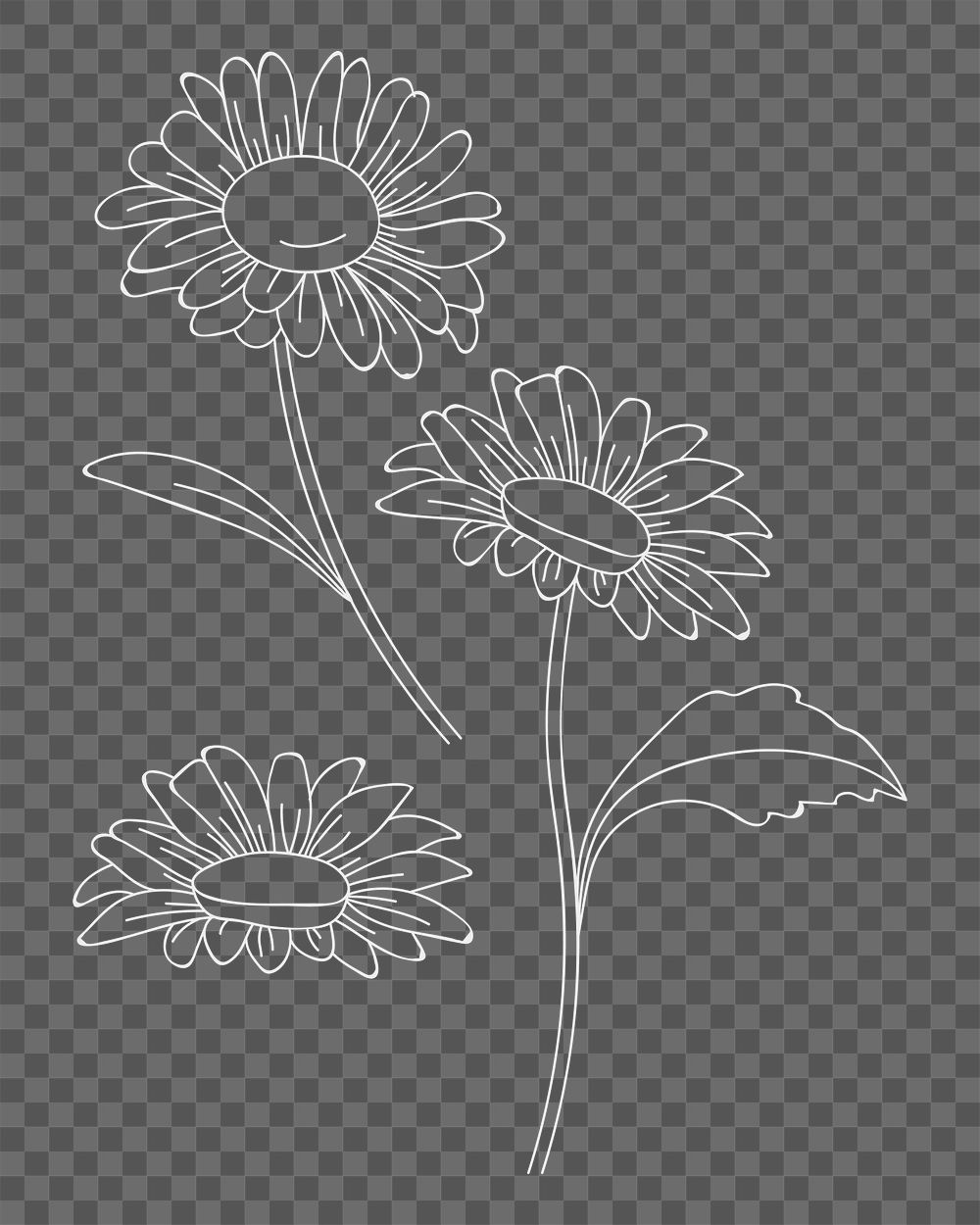 Flower element png, transparent background