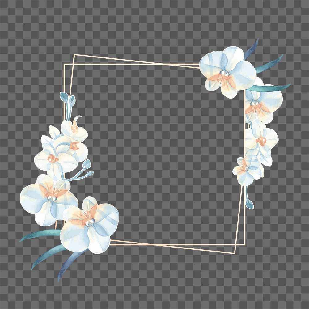 Watercolor orchid png frame, transparent background