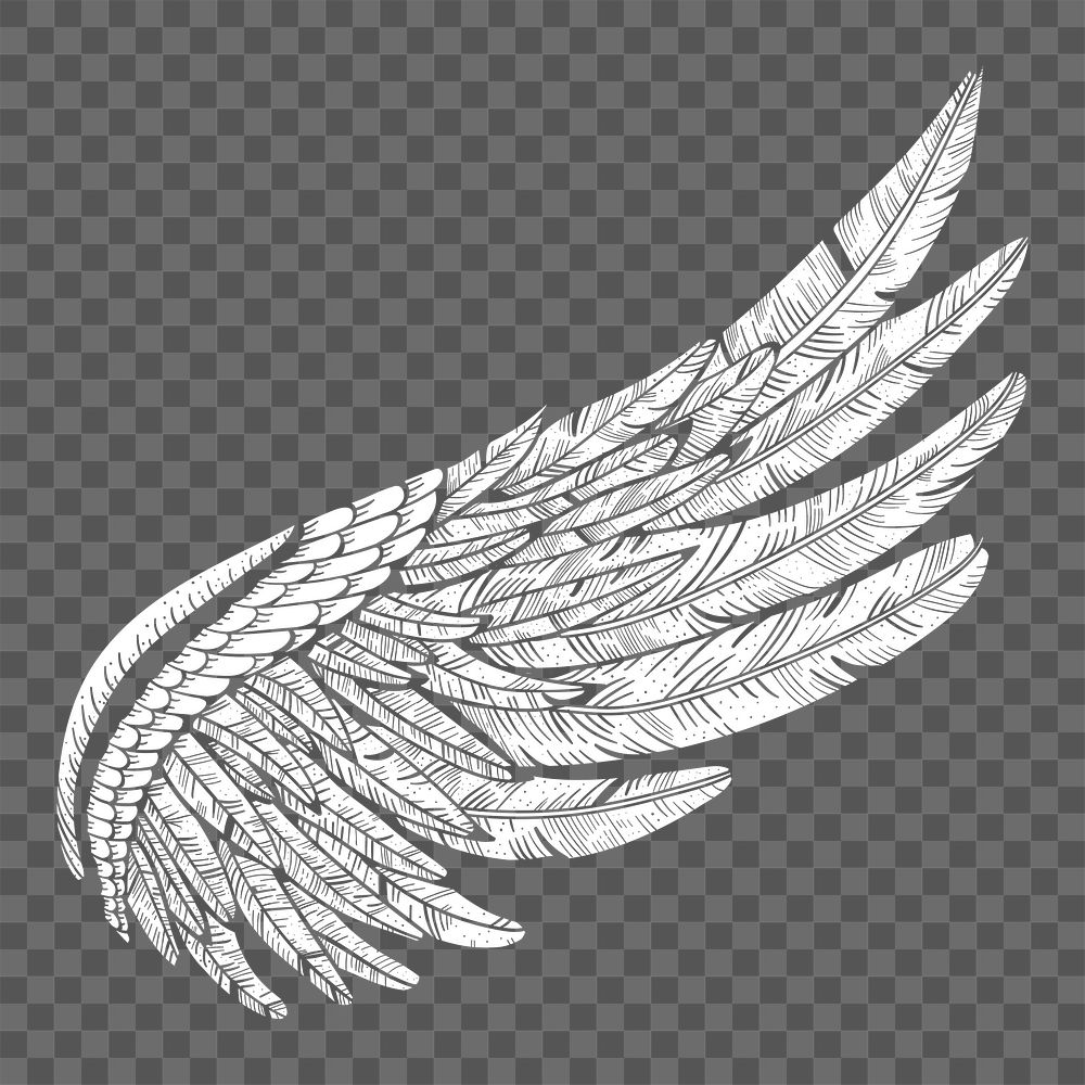 Wing png illustration, transparent background