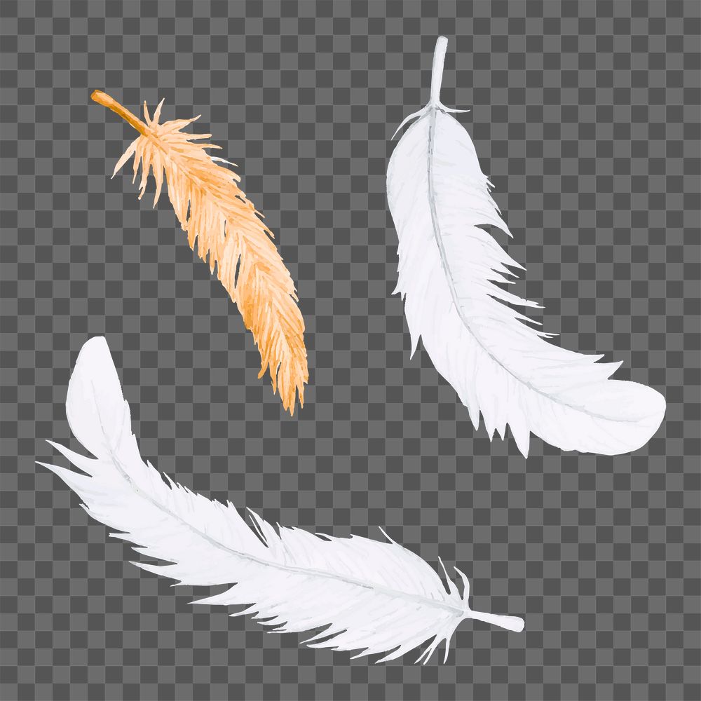 Feather png watercolor element, transparent background