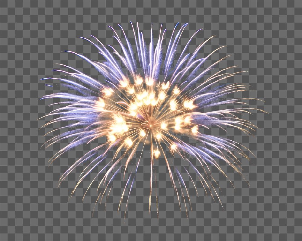 PNG Firework fireworks black background illuminated