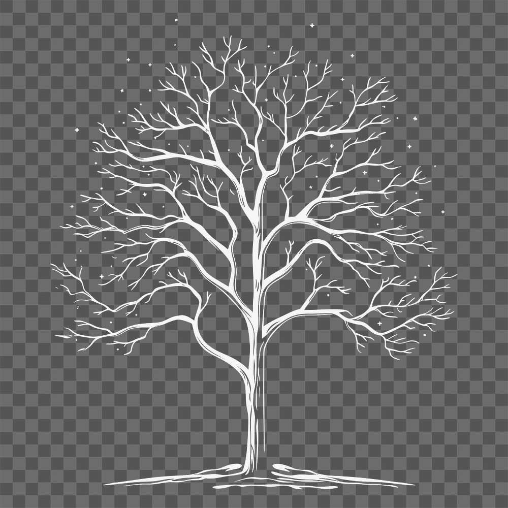 PNG Drawing tree sketch plant. AI generated Image by rawpixel.
