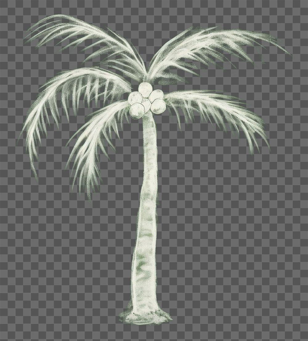 PNG Palm tree green sketch plant. AI generated Image by rawpixel.