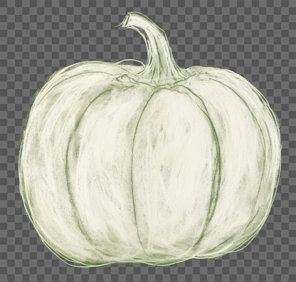 PNG Pumpkin backgrounds vegetable sketch. AI generated Image by rawpixel.