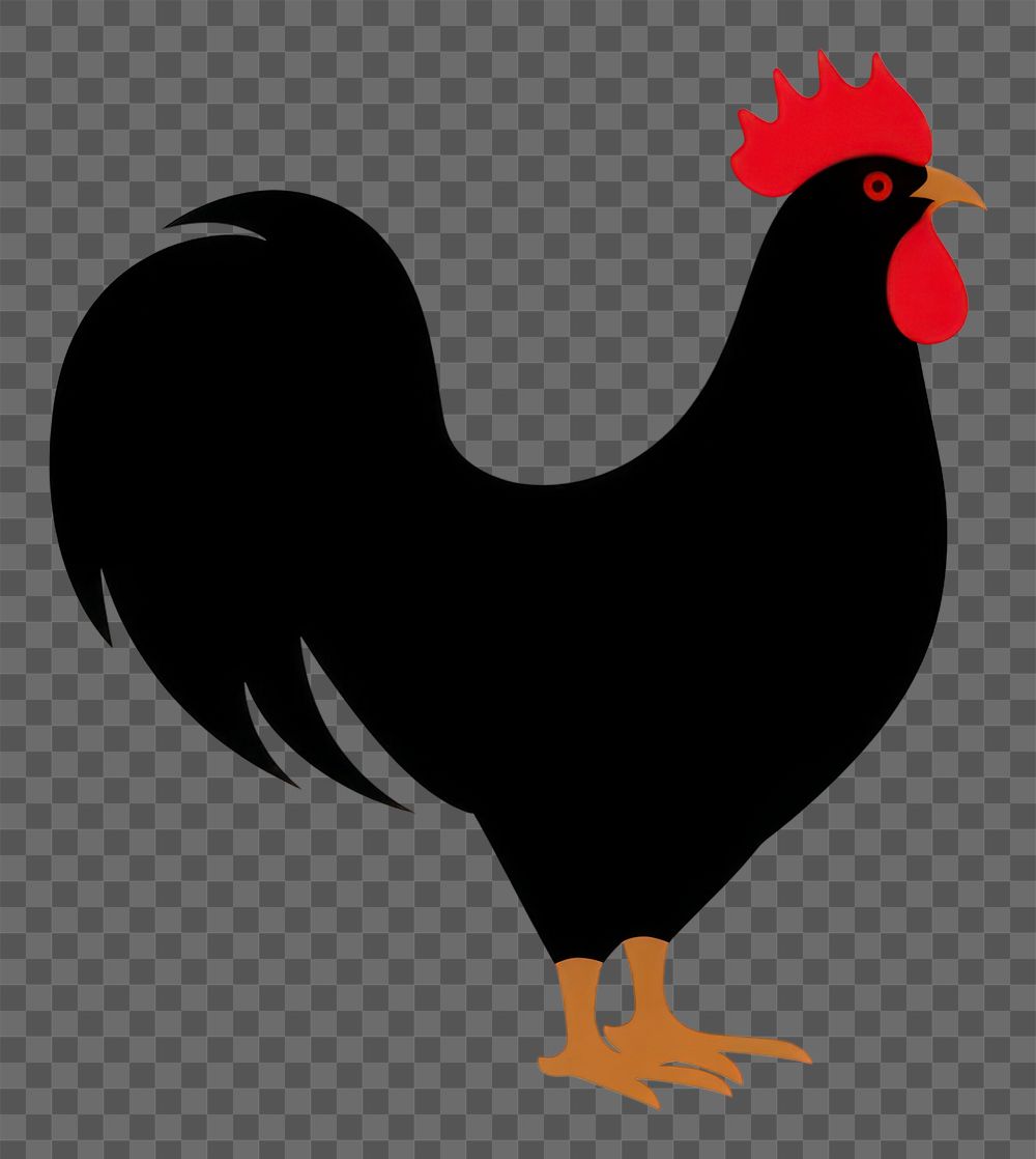 PNG Rooster chicken poultry cartoon. AI generated Image by rawpixel.