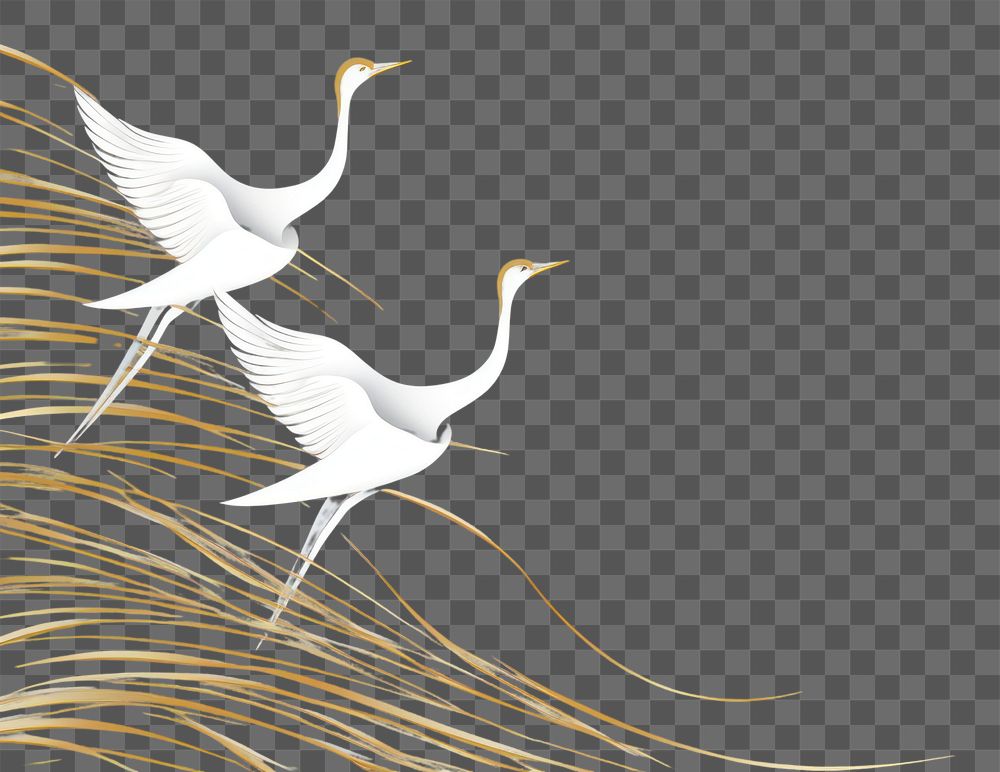 PNG Crane birds flying animal nature. AI generated Image by rawpixel.
